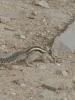 india_1_00064
